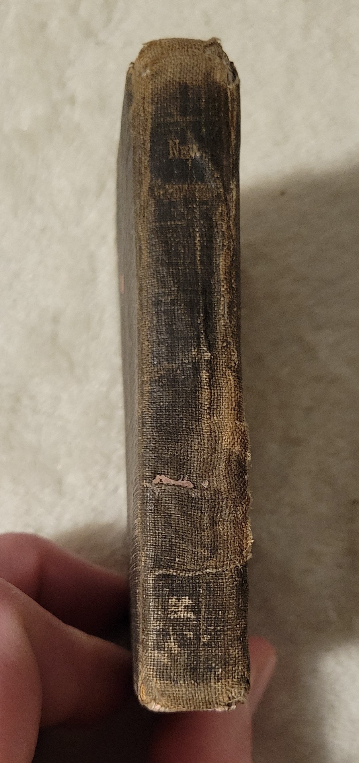 Antique book for sale, illustrated New Testament, 1918. View of spine