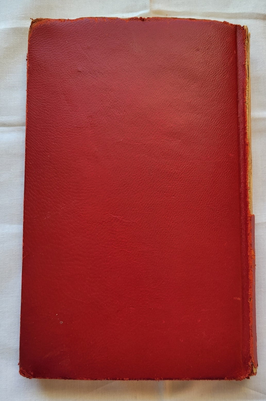 Antique book for sale, Homer's ancient Greek epic, The Odyssey translated by Alexander Pope, published by A. L. Burt Company (before 1932), with notes from Rev. Theodore Alois Buckley M.A. View of back cover.