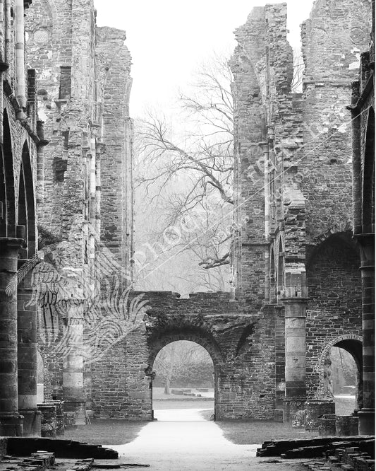 Travel photography. Gifts for history lovers and travelers. Black and white photograph of Villers Abbey in Villers-la-Ville, Belgium