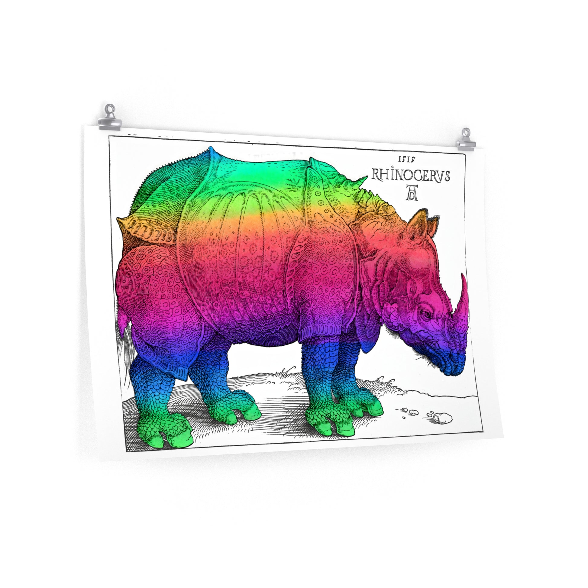 White poster with Albrecht Durer's famous rhinoceros, colored in with bright rainbow colors.