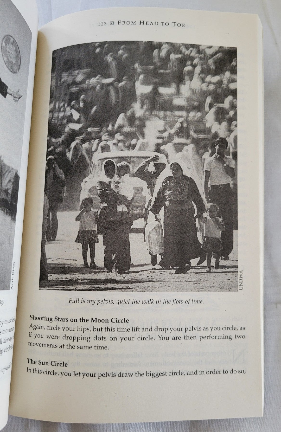 Used book for sale “Grandmother's Secrets: The Ancient Rituals and Healing Power of Belly Dancing” written by Rosina-Fawzia Al-Rawi, translated by Monique Arav.  View of page 113 with photograph.