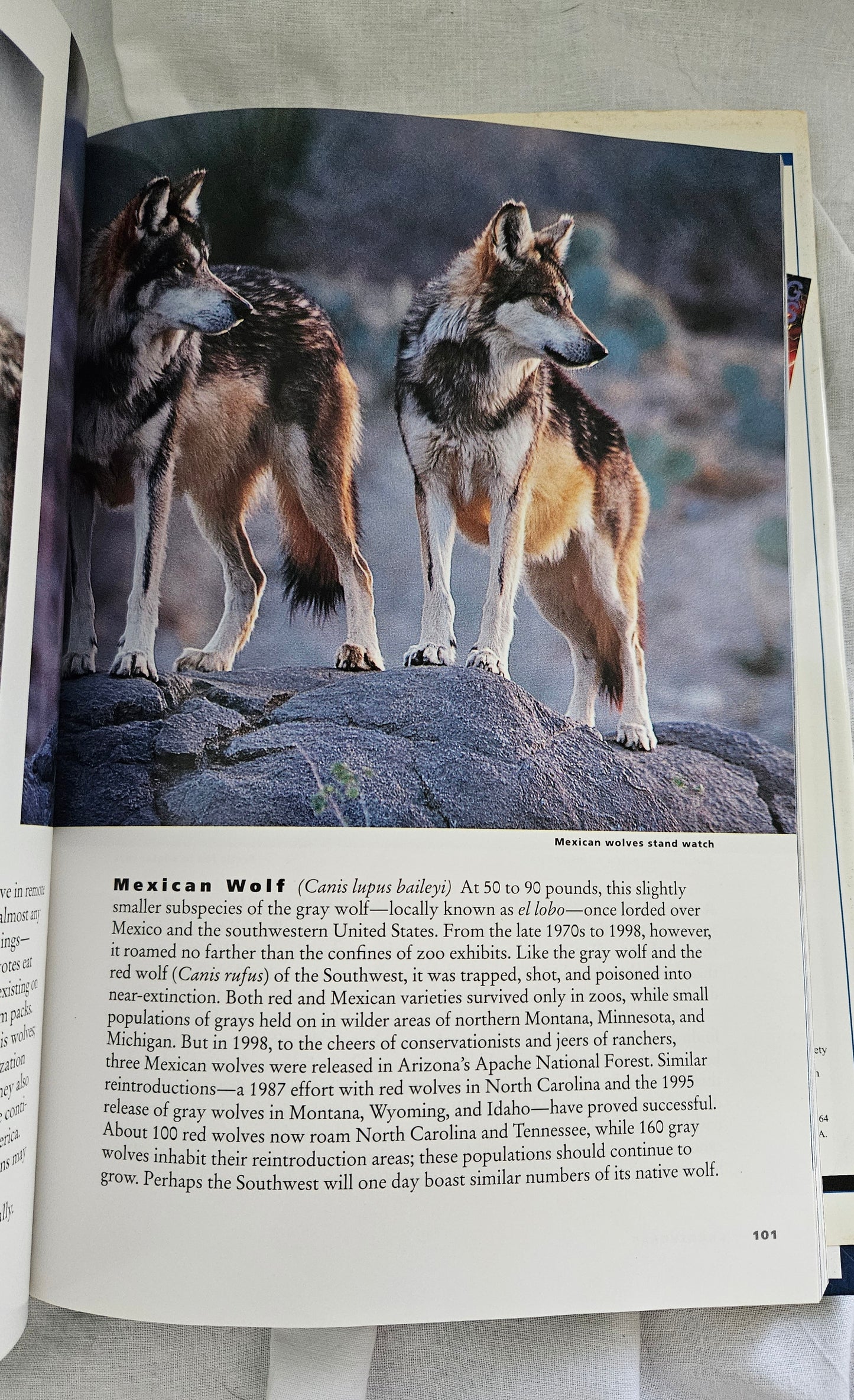 Wild Animals of North America - National Geographic Society