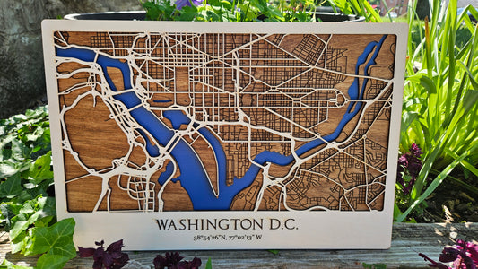 3D Map of Washington DC - Our Nation's Capital