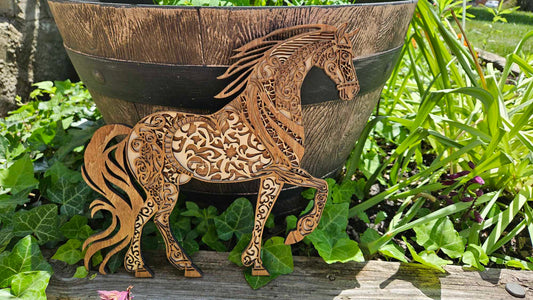 Beautiful Horse, Magnificent Prancing Pony