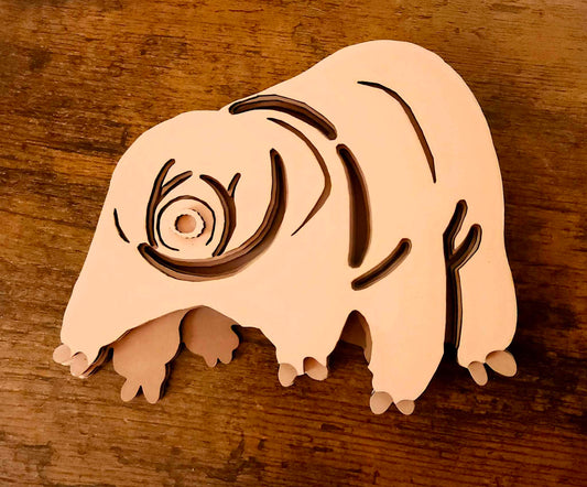 Wonderful Water Bear!  A Tardigrade Pal for You!