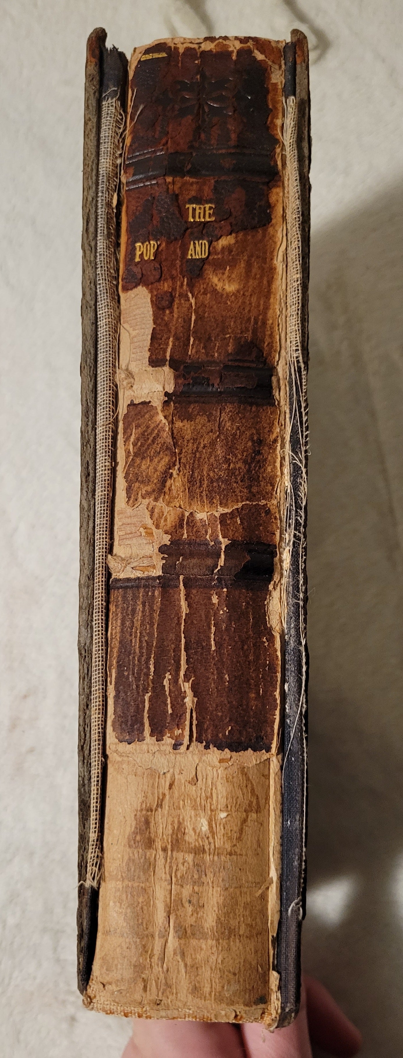 Antique book for sale "The Popular and Critical Bible Encyclopedia and Scriptural Dictionary: Fully Defining and Explaining All Religious Terms" Volume 2, edited by Rt. Rev. Samuel Fallows. Spine.