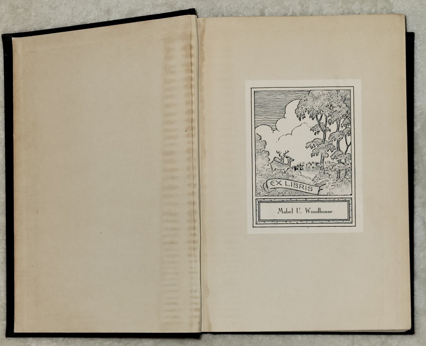 Vintage book for sale “The Apostle” by Sholem Asch published by H. Wolff Book Mfg. Company, 1943. Ownership sticker on black page.
