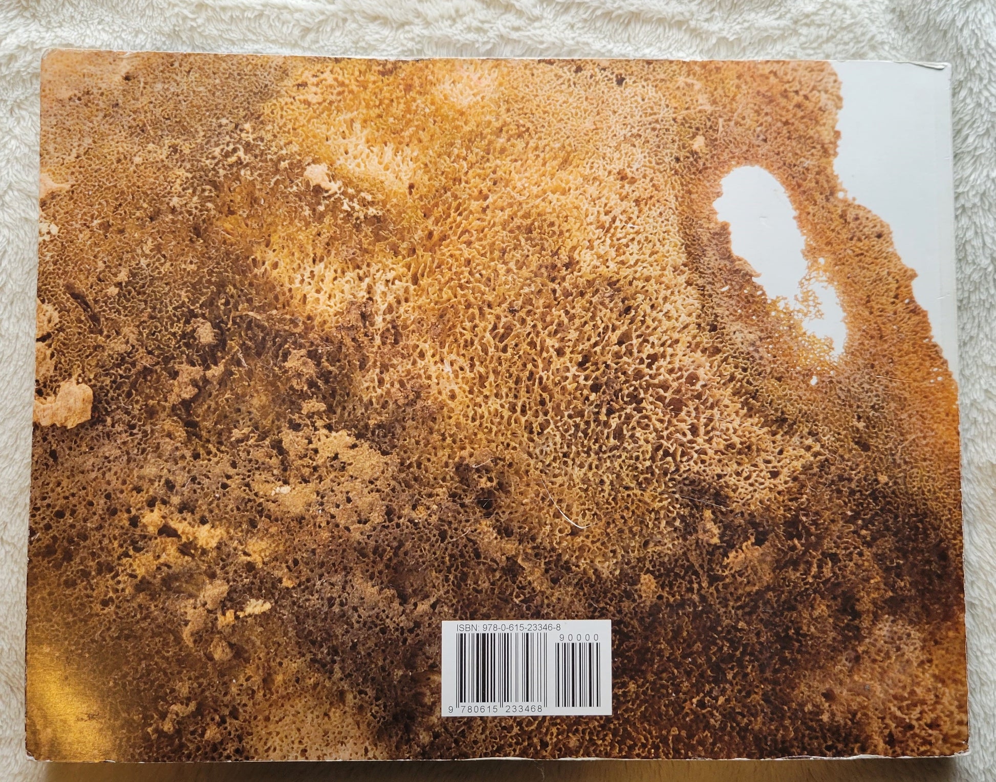 Used book for sale "Written in Bone" by Douglas Owsley and Karin Bruwelheide, published by LeanTo Press, 2009. Back cover.