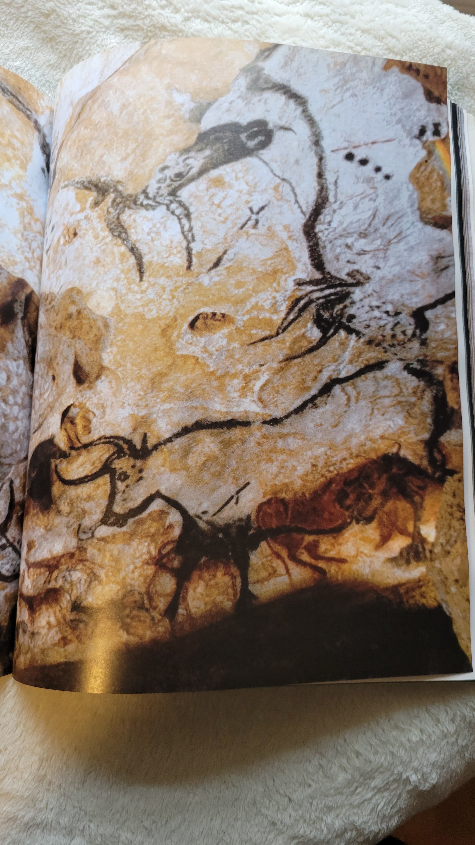Used book for sale, "Prehistoric Art" was written by Dr. Jean-Pierre Mohen, published by Finest S.A. / Editions. View of photography of cave paintings.