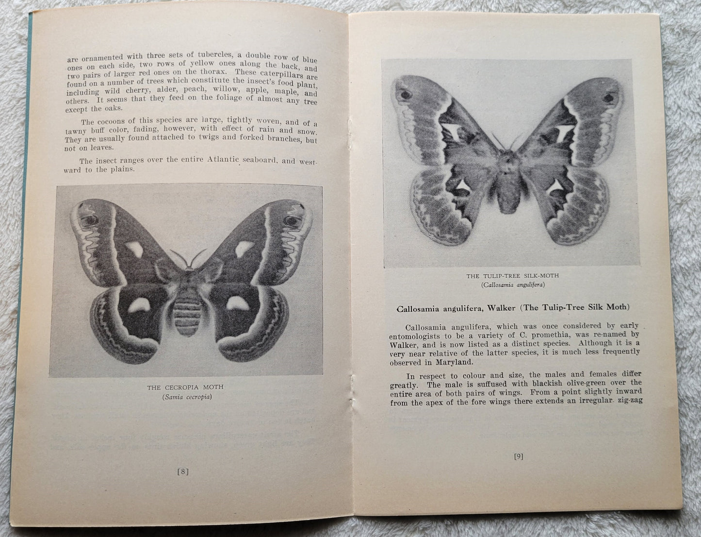 Set of three vintage pamphlets are from the 1930s, published by the Natural History Society of Maryland.  View of pages.