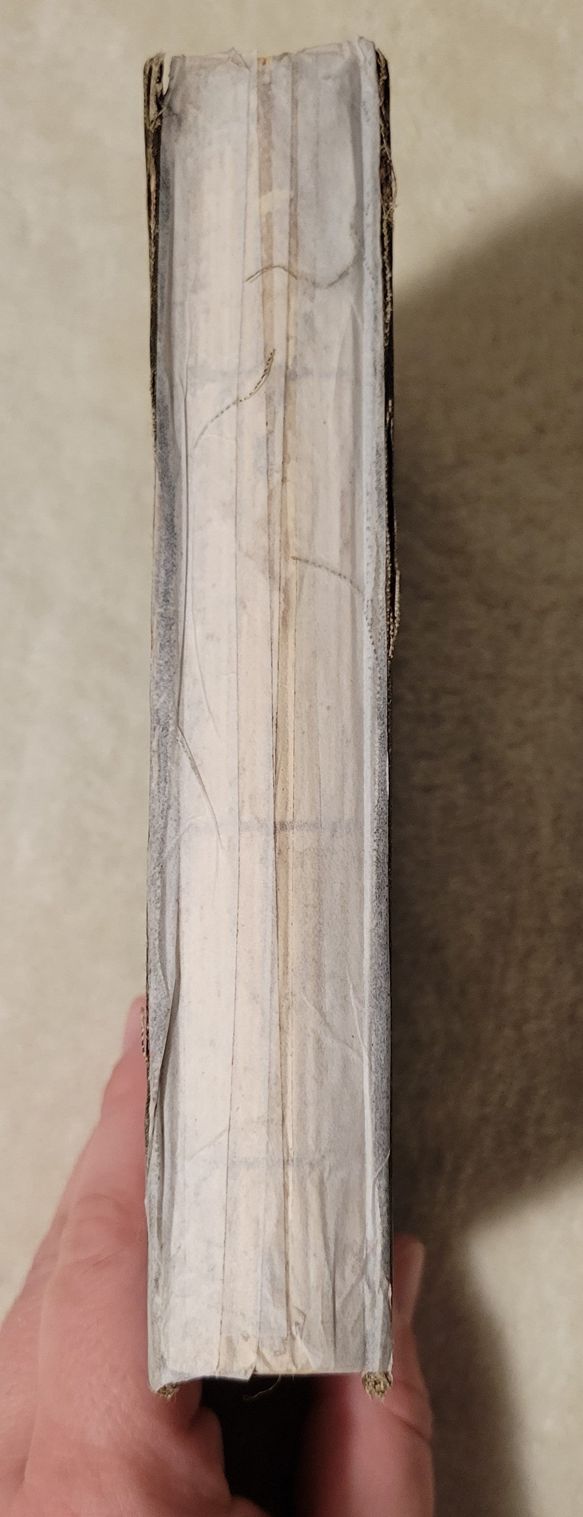 Antique book for sale, "The New Testament of the Our Lord and Saviour Jesus Christ", Oxford University Press, 1881. View of spine.