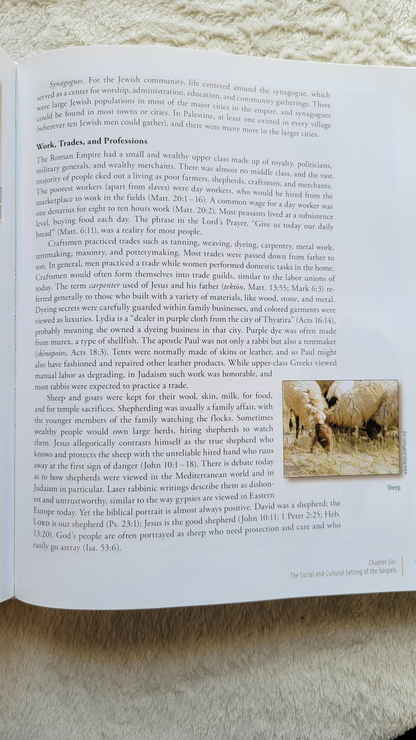 Used book for sale, "Four Portraits One Jesus: A Survey of Jesus and the Gospels", written by Mark L. Strauss in 2007, published by Zondervan.  Investigating the historical Jesus and reliability of the Gospels.  View of random page.