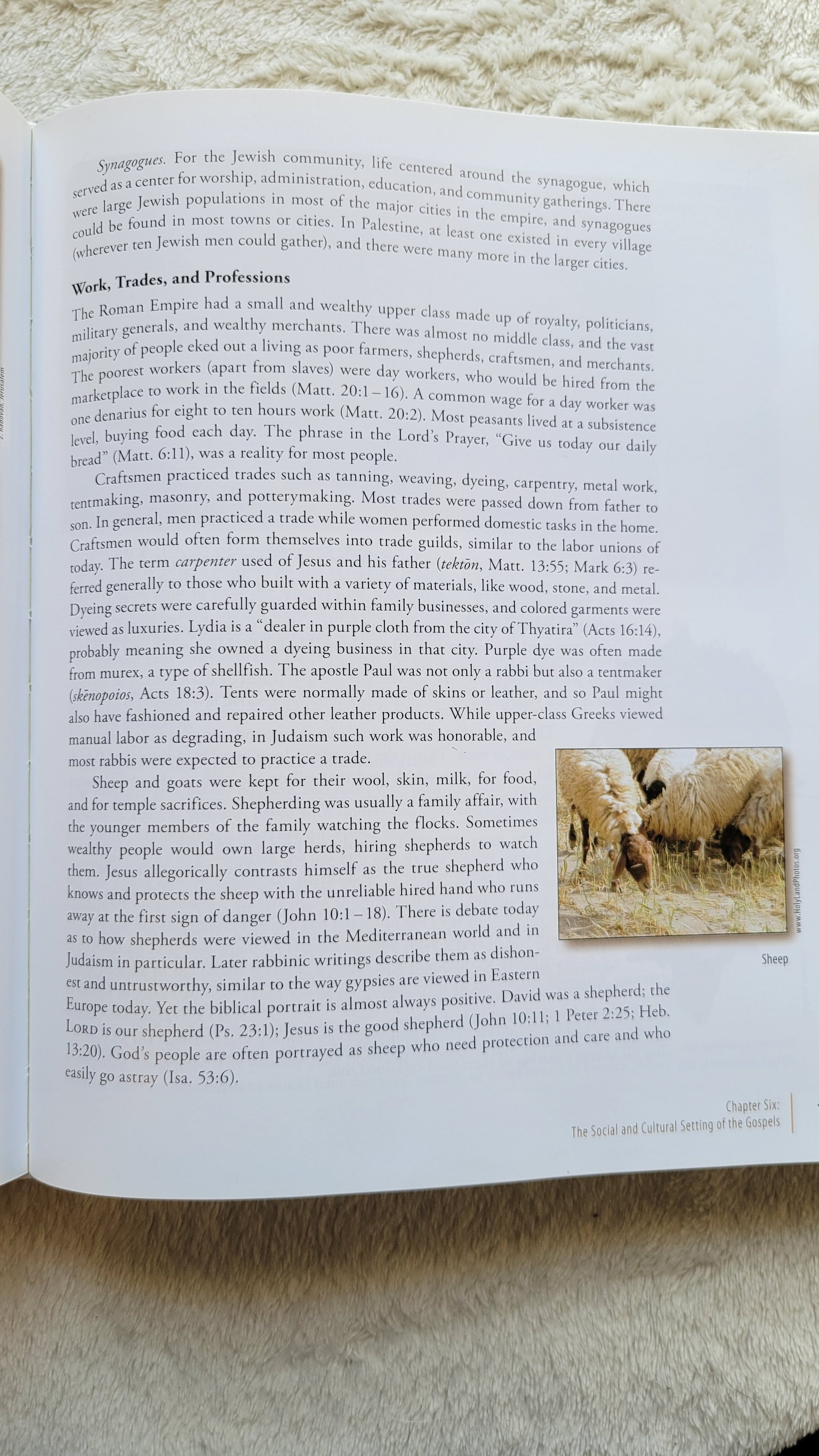 Used book for sale, "Four Portraits One Jesus: A Survey of Jesus and the Gospels", written by Mark L. Strauss in 2007, published by Zondervan.  Investigating the historical Jesus and reliability of the Gospels.  View of random page.
