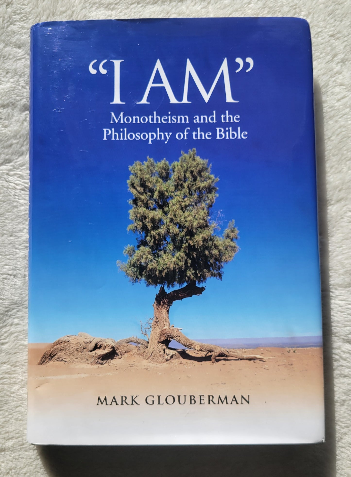 Used book for sale "I Am: Monotheism and the Philosophy of the Bible" by Mark Glouberman, University of Toronto Press, 2019. View of front cover.