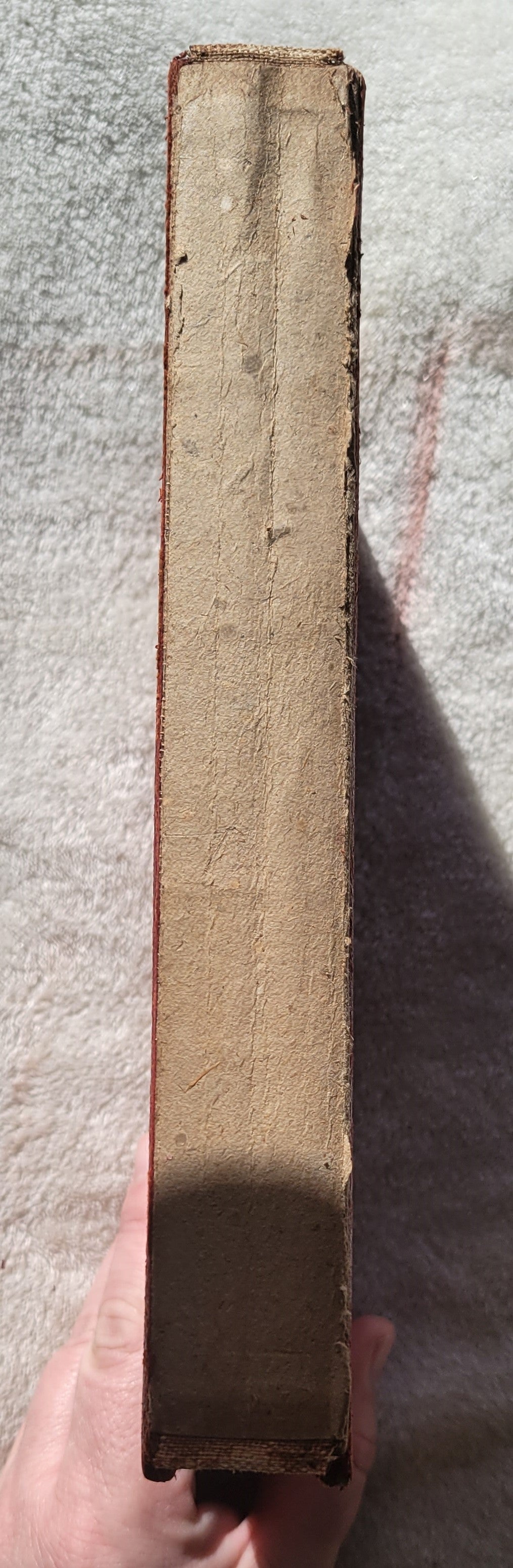 Antique book.  "Bibliophile Edition de Luxe Volume 13" part of The International Library of Masterpieces, Literature, Art, and Rare Manuscripts, edited by Herry Thurston Peck, published by The International Bibliophile Society, 1901.  View of spine.