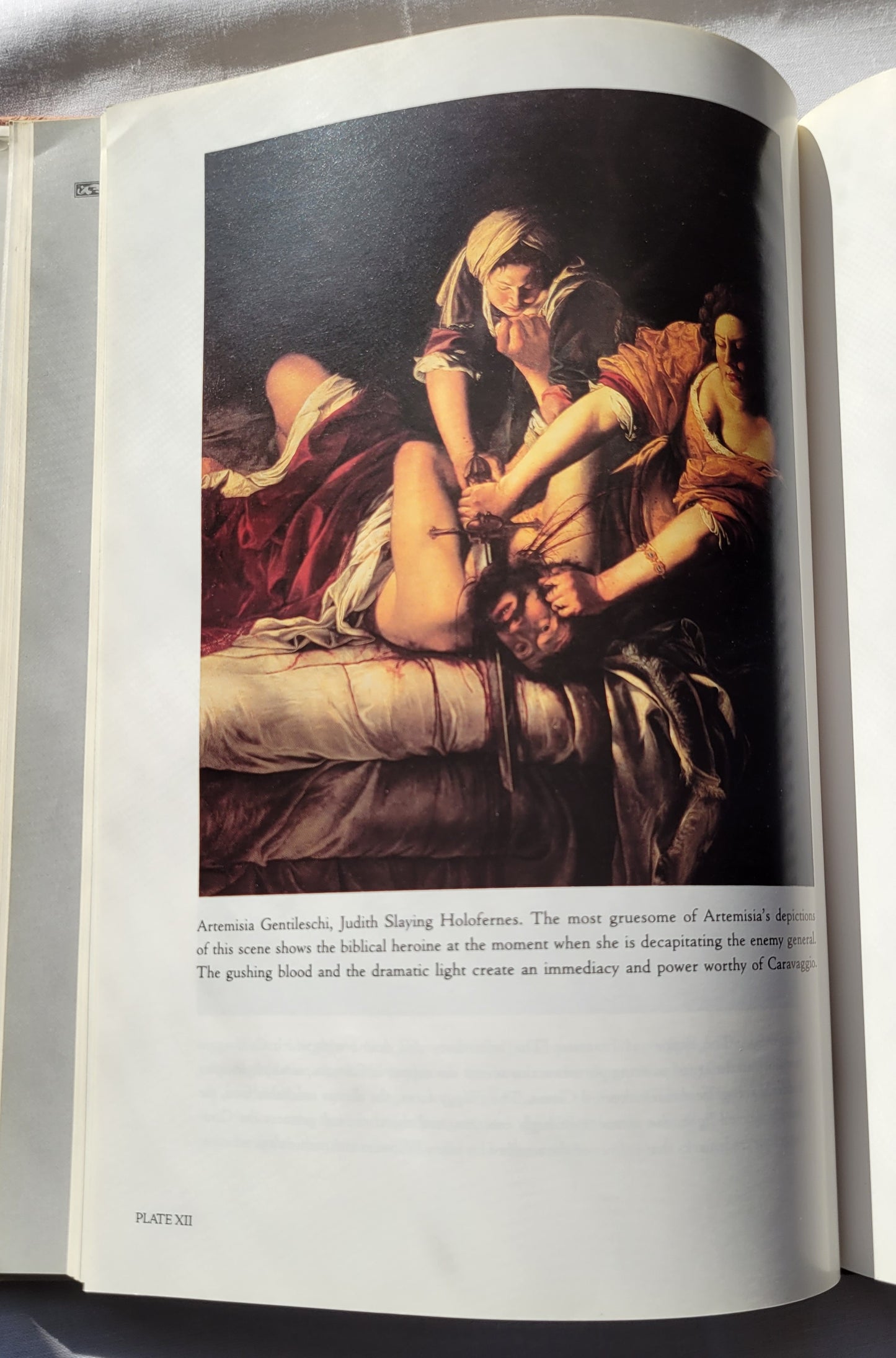 Used book for sale, "Renaissance Lives: Portraits of an Age" by Theodore K. Rabb published by Basic Books in 1993. View of painting in book.