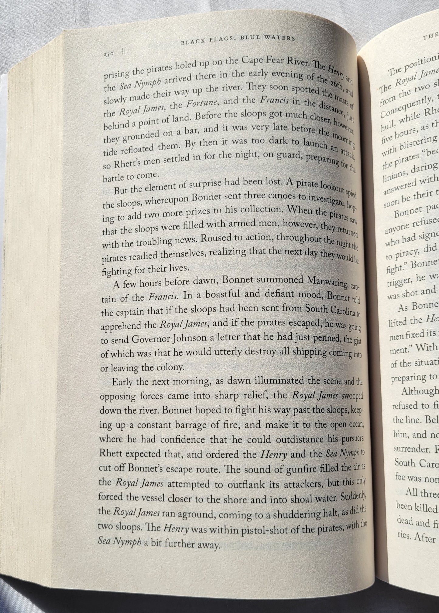"Black Flags Blue Waters: The Epic History of America's Most Notorious Pirates" by Eric Jay Dolin, published by Liveright in 2018.  "With surprising tales of vicious mutineers, imperial riches, and high-seas intrigue, Black Flags, Blue Waters vividly reanimates the “Golden Age” of piracy in the Americas.  View of page 230.