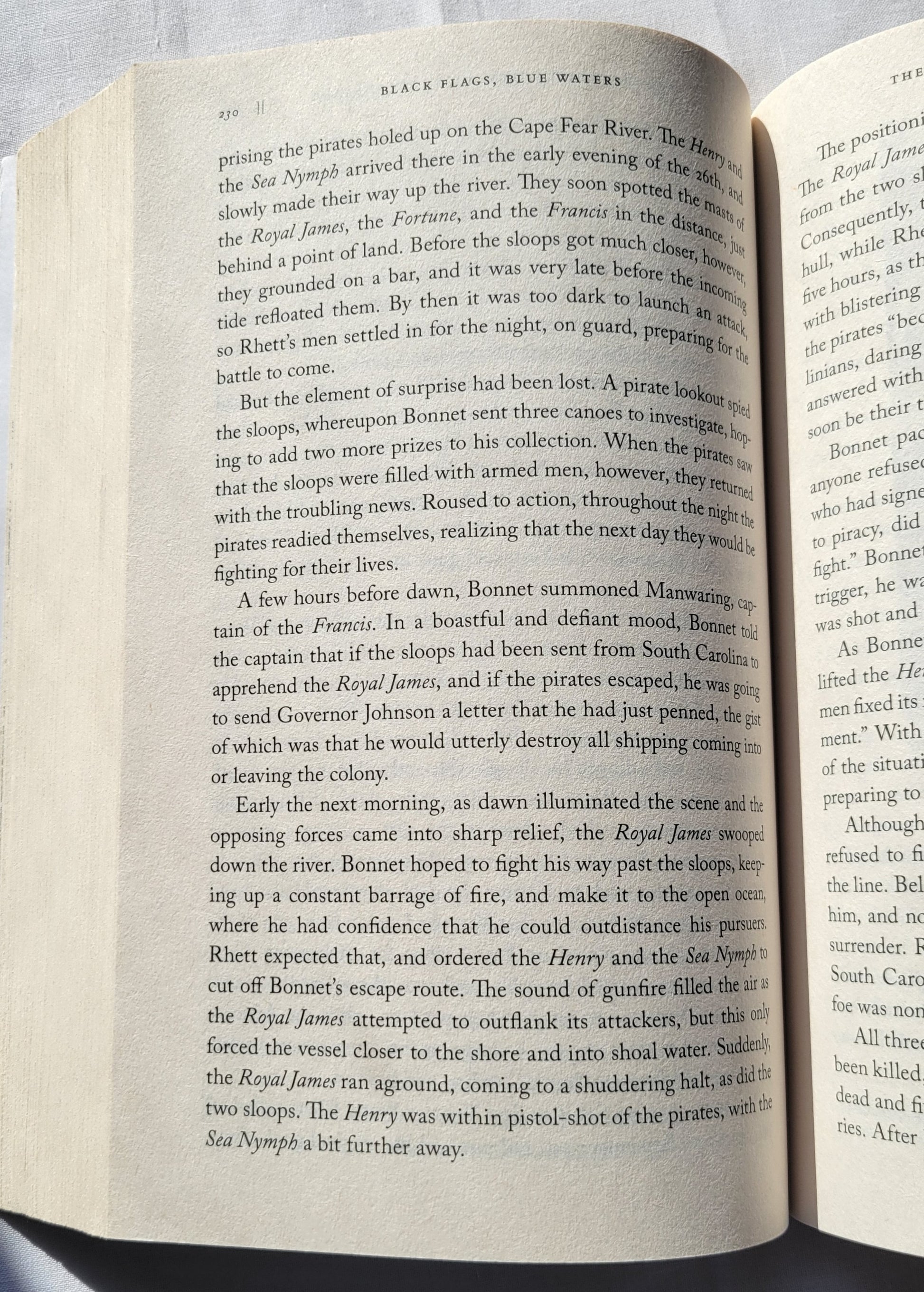 "Black Flags Blue Waters: The Epic History of America's Most Notorious Pirates" by Eric Jay Dolin, published by Liveright in 2018.  "With surprising tales of vicious mutineers, imperial riches, and high-seas intrigue, Black Flags, Blue Waters vividly reanimates the “Golden Age” of piracy in the Americas.  View of page 230.