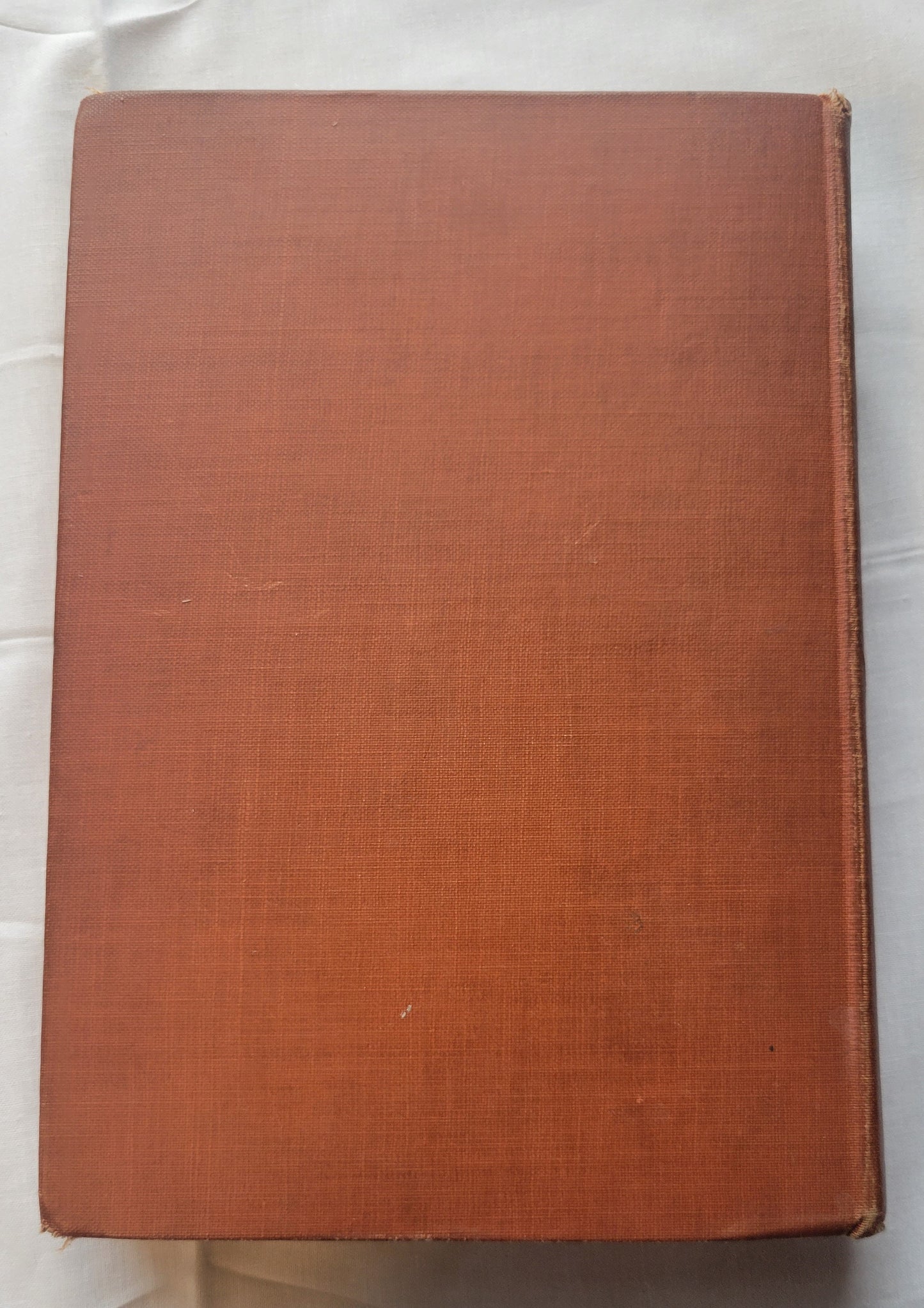 Vintage book for sale “Tawnymore” by Monica Shannon, illustrated by Jean Charlot, published by Doubleday, Doran, & Company in 1931. Back cover.