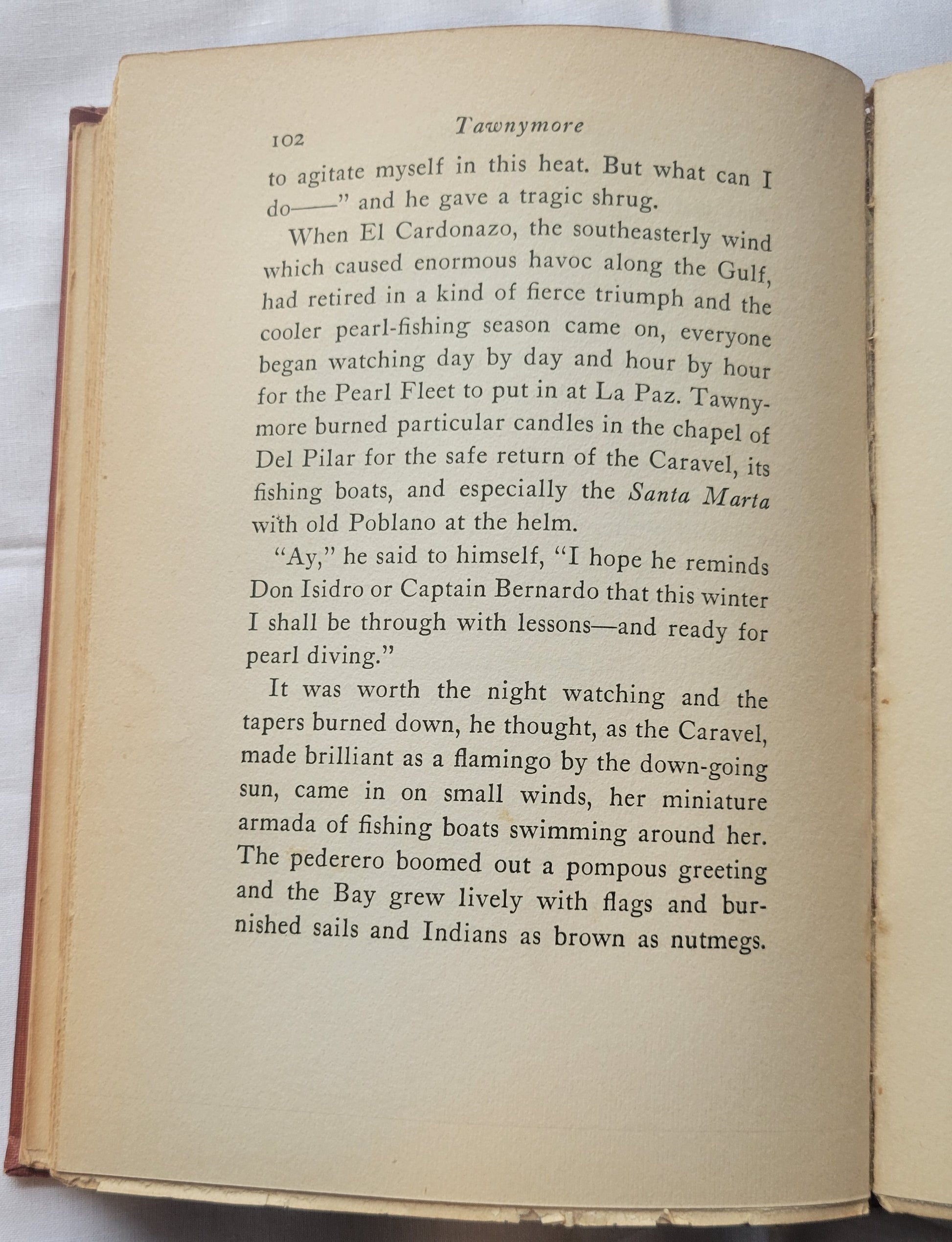 Vintage book for sale “Tawnymore” by Monica Shannon, illustrated by Jean Charlot, published by Doubleday, Doran, & Company in 1931. Page 102