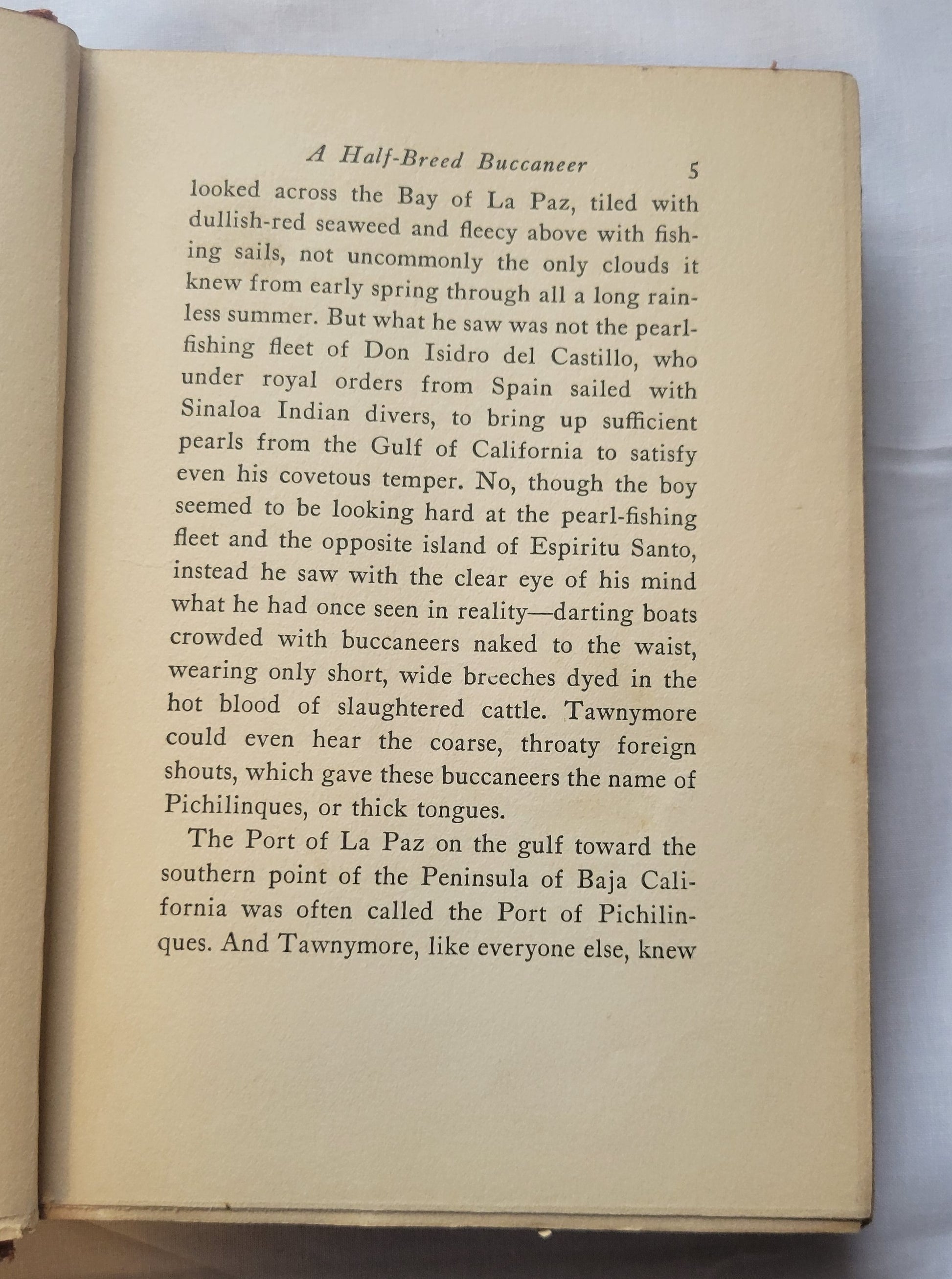 Vintage book for sale “Tawnymore” by Monica Shannon, illustrated by Jean Charlot, published by Doubleday, Doran, & Company in 1931. Page 5