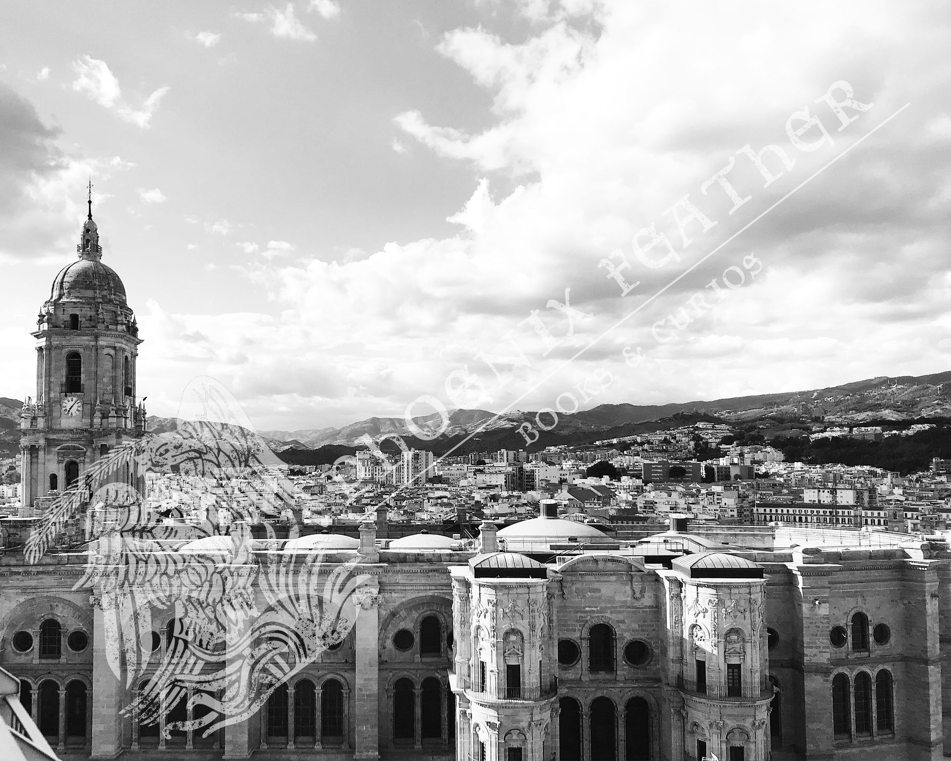 Travel photography for sale.  Gifts for history lovers and travelers. Black and white photograph of Malaga, Spain with the Malaga Cathedral in the foreground.  Malaga is a beautiful city along the Costa del Sol.