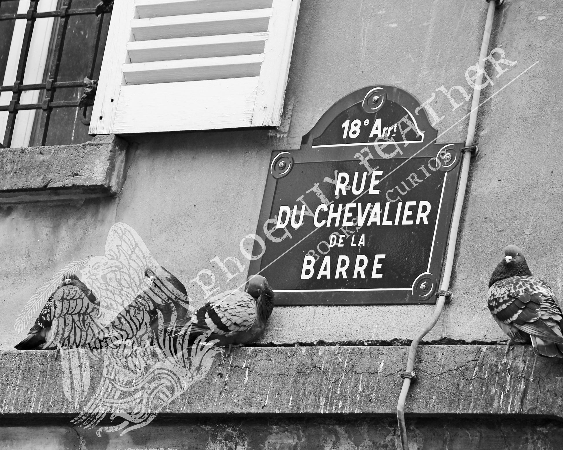 Travel photography. Gifts for history lovers and travelers. Black and white photograph of pigeons perched along the historic street of Rue du Chevalier-de-La-Barre in Paris, France. Bird photo