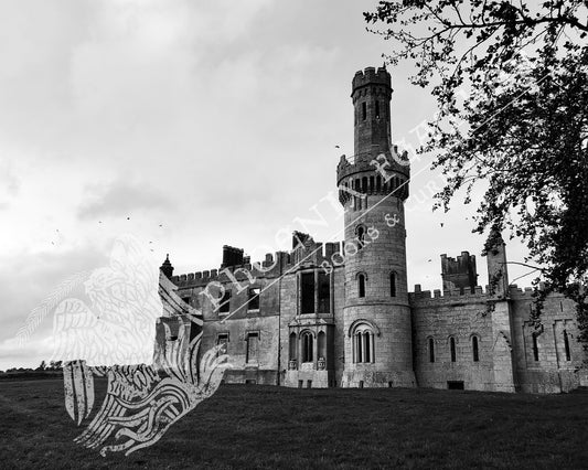 Travel photography.  Gifts for history lovers and travelers. A black and white photograph of the large and imposing 19th century Ducketts Grove estate in County Carlow, Ireland unfortunately lies in ruins. However, it remains a fascinating place to visit and has beautiful Walled Gardens, perfect for strolling and rumination.  Size 8" x 10"
