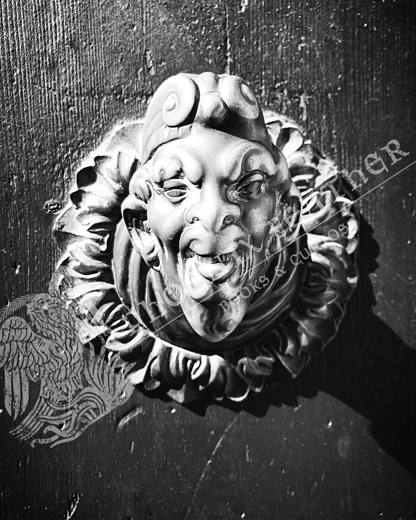 Travel photography. Gifts for history lovers and travelers. Black and white photograph of a Venetian Door Handle.