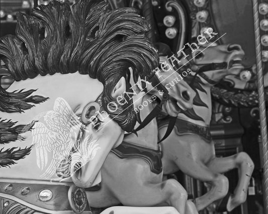 Travel photography. Gifts for history lovers and travelers. Black and white photograph of carousal merry-go-round