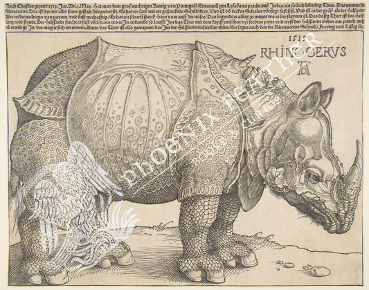 Vintage poster print.  Gifts for history lovers and travelers. This iconic rhinoceros comes from a 1515 AD woodcut by German Renaissance artist Albrecht Durer. Size: 11" x 14"